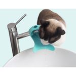 pet-around-you-beverino-silicone-gurgle-acquamarino-gatto