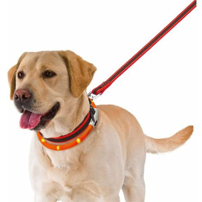 ferplast-night-over-sopracollare-led-cane