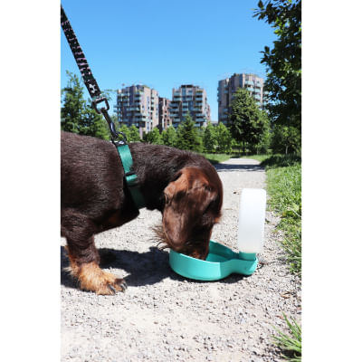 borraccia-pingui-acquamarina-cane-che-beve