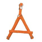 lovedi-pettorina-majesty-cane-arancio-m