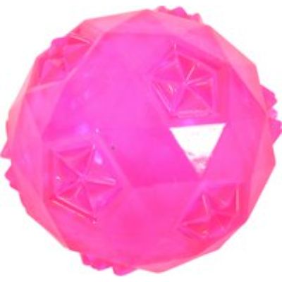 Gioco Cane Palla Tpr con Rimbalzo Fucsia