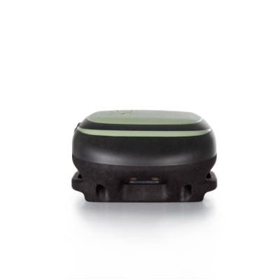 kippy-evo-gps-cane-gatto-verde-dettagli