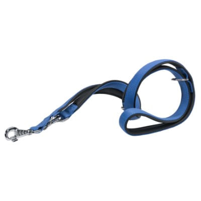 GUINZAGLIO-BLU-PER-CANI