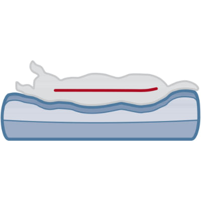 trixie-cuscino-vital-bendson-per-cane-acqua