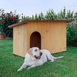 ferplast-baita-cuccia-in-legno-cane-seduto