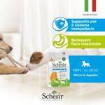 schesir-puppy-agnello