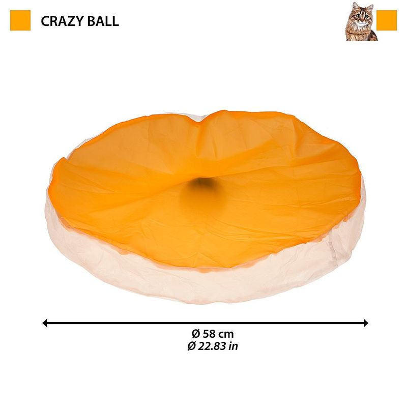 crazy-ball-1
