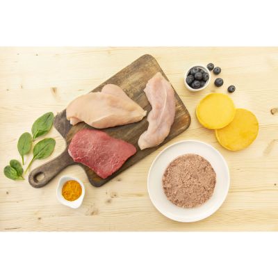 in-the-nature-dog-adult-manzo-ingredienti