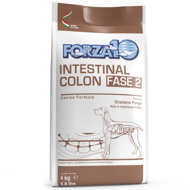 intestinal-colon-fase-2