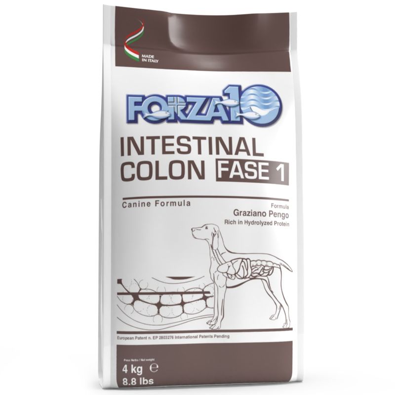 forza10-intestinal-colon