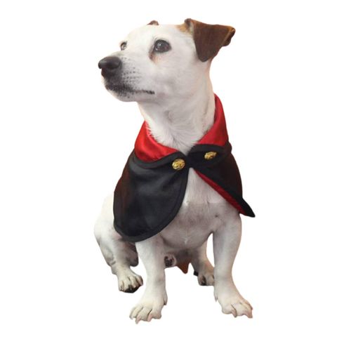 Croci Mantello Cane Halloween Tricky Vampiro