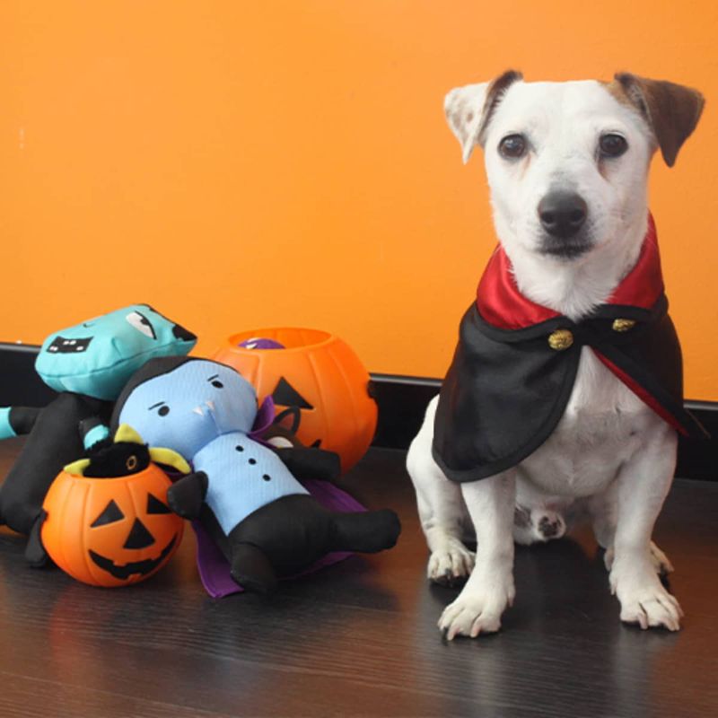 croci-halloween-mantello-tricky-vampire-cane