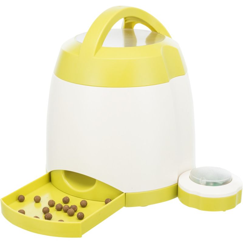 gioco per cane