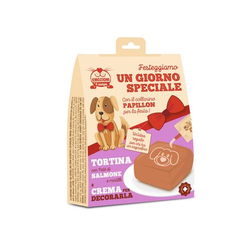 Torta per Cane un Giorno Speciale al Salmone