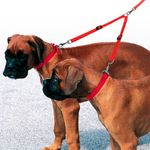 ferplast-terminale-doppio-guinzaglio-del-cane-rosso-cani