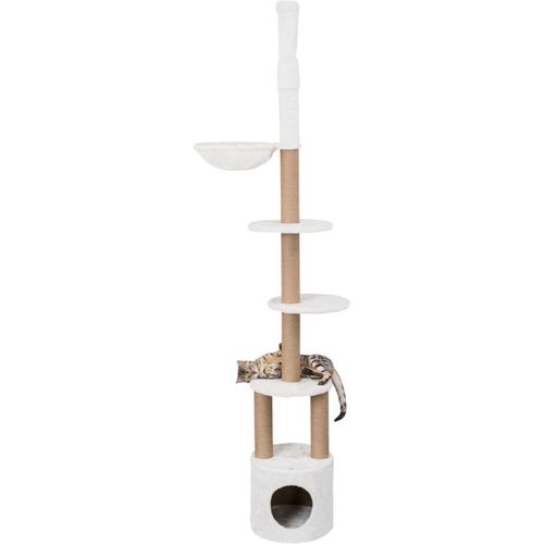 Trixie Tiragraffi Aurelio