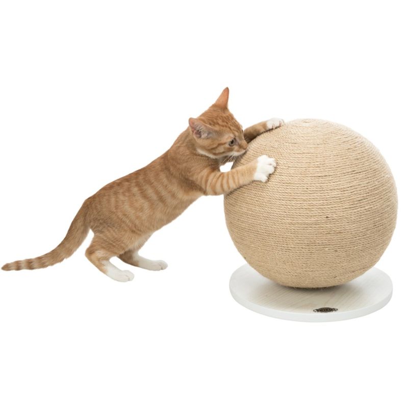 tiragraffi palla per gatti