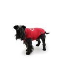 lovedi-maglione-passion-rosso-indossato-cane