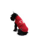 lovedi-maglione-passion-rosso-indossato-cane-seduto-girato