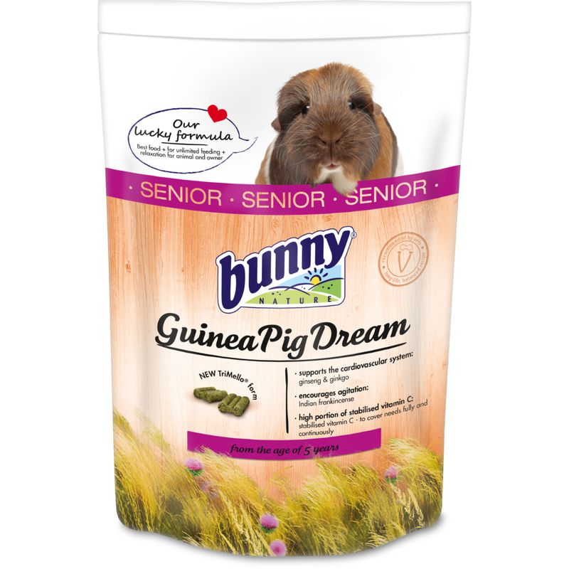 bunny-sogno-porcellini-dindia-senior