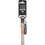 luna-e-teo-collare-classic-marrone-s