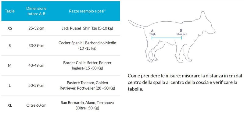 balto-tutore-body-lift-taglie