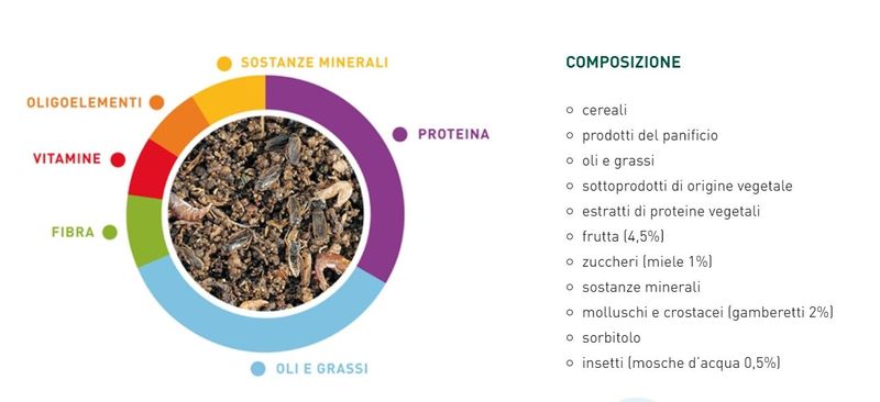 valman-grandpate-insects-ingredienti