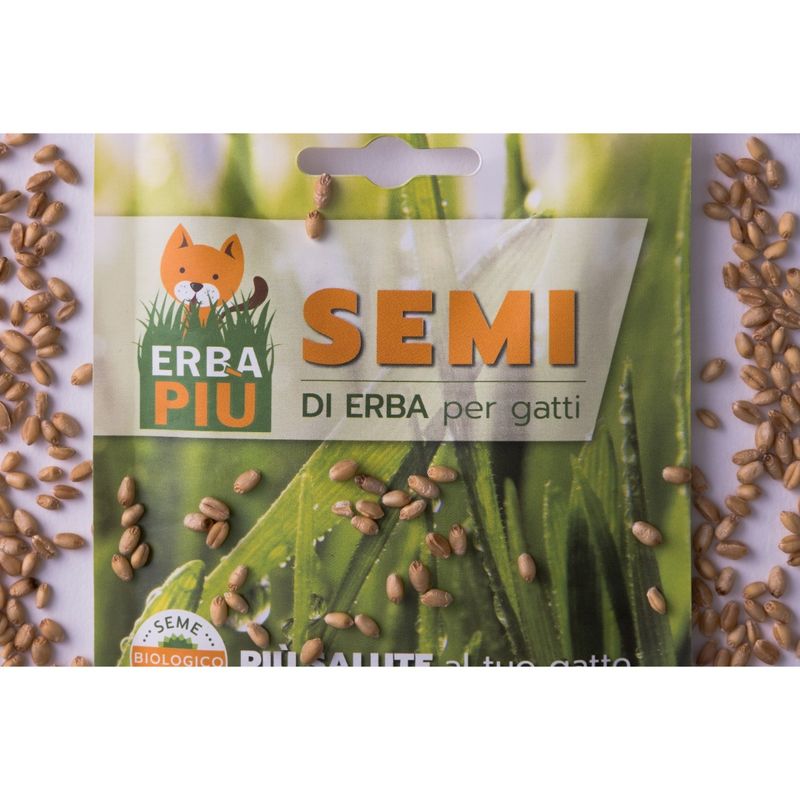 erba-piu-bustine-semi-front