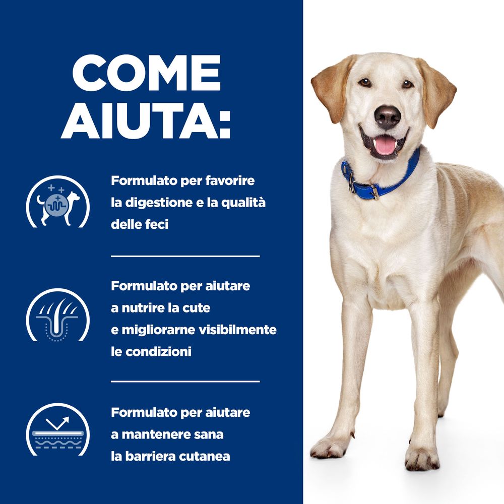 Disabituante per cani: come usarlo? - Dog's Health