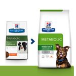 hill-s-prescription-diet-metabolic-cane-pollo-transizione