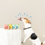 edgard-cooper-dog-adult-organic-pesce-cane
