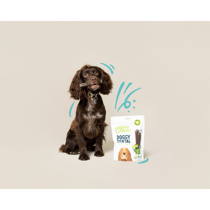 edgard-cooper-snack-dog-dental-medium-breed-mela-eucalipto-lifestyle