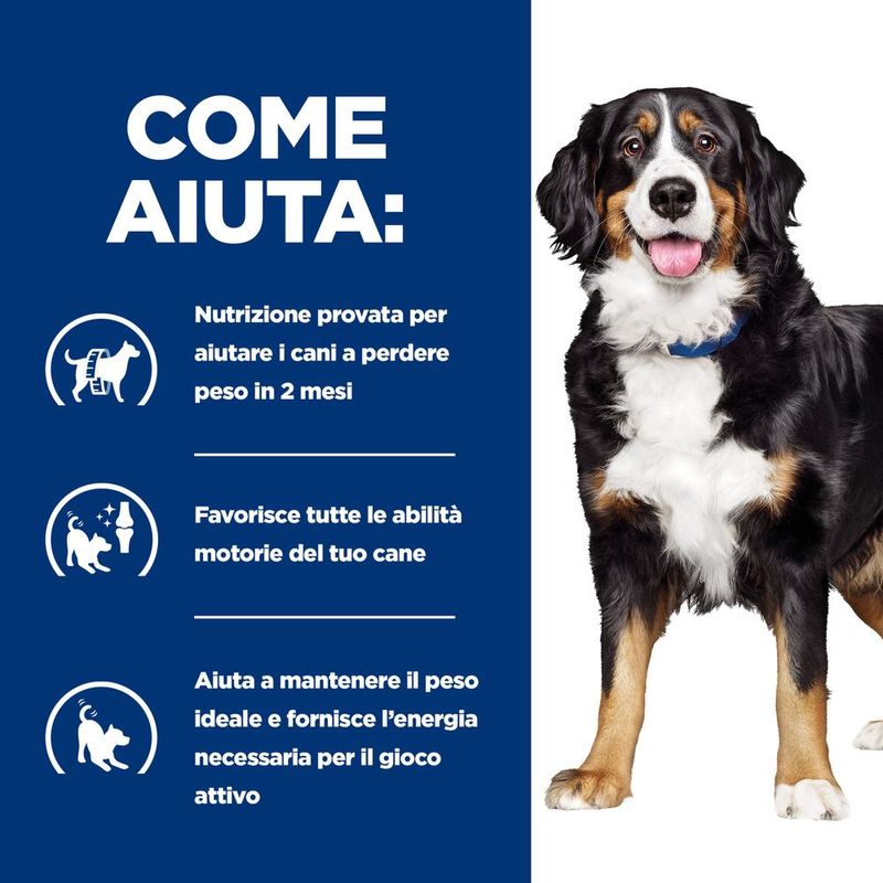hills-prescription-diet-metabolic-mobility-spezzatino-cane-tonno-verdure-come-aiuta
