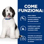 hills-prescription-diet-c-d-multicare-alimento-cani-pollo-come-funziona