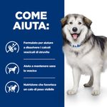 hills-prescription-diet-c-d-multicare-metabolic-alimento-per-cane-come-aiuta