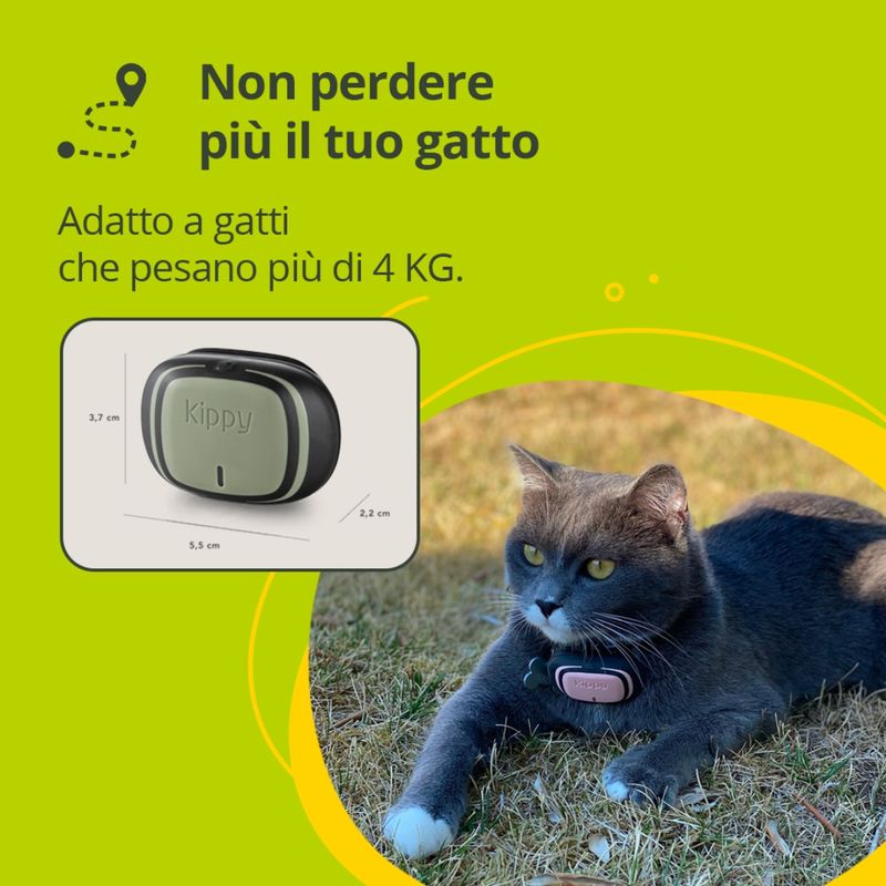 kippy-evo-gps-gatto