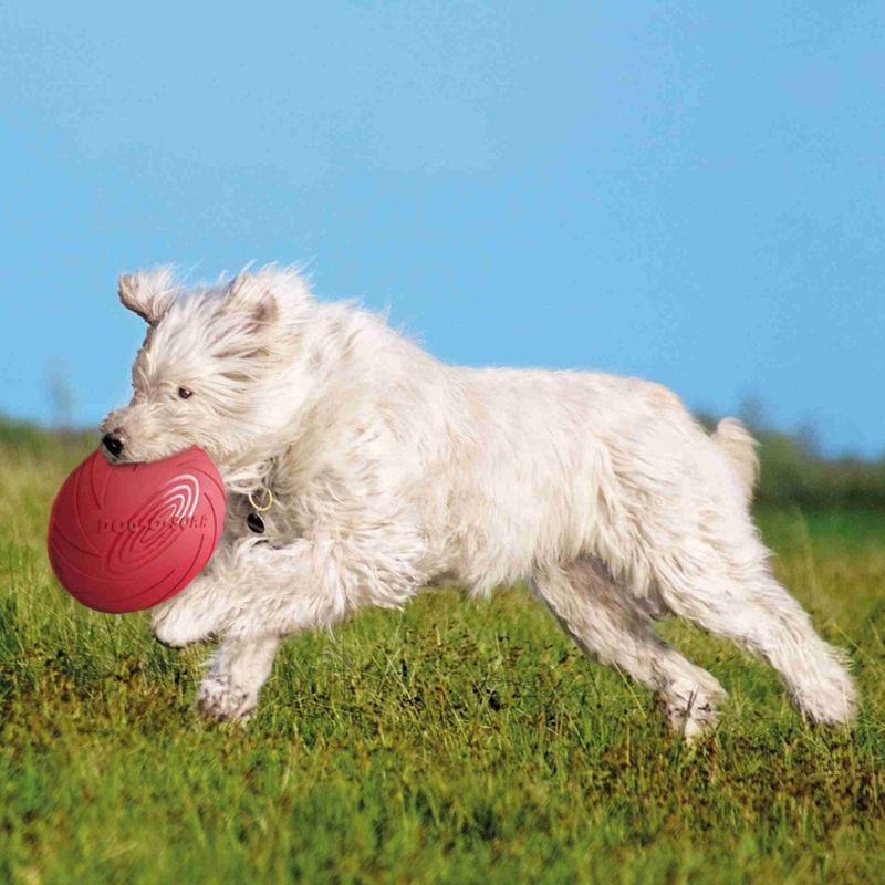 trixie-frisbee-in-gomma-naturale