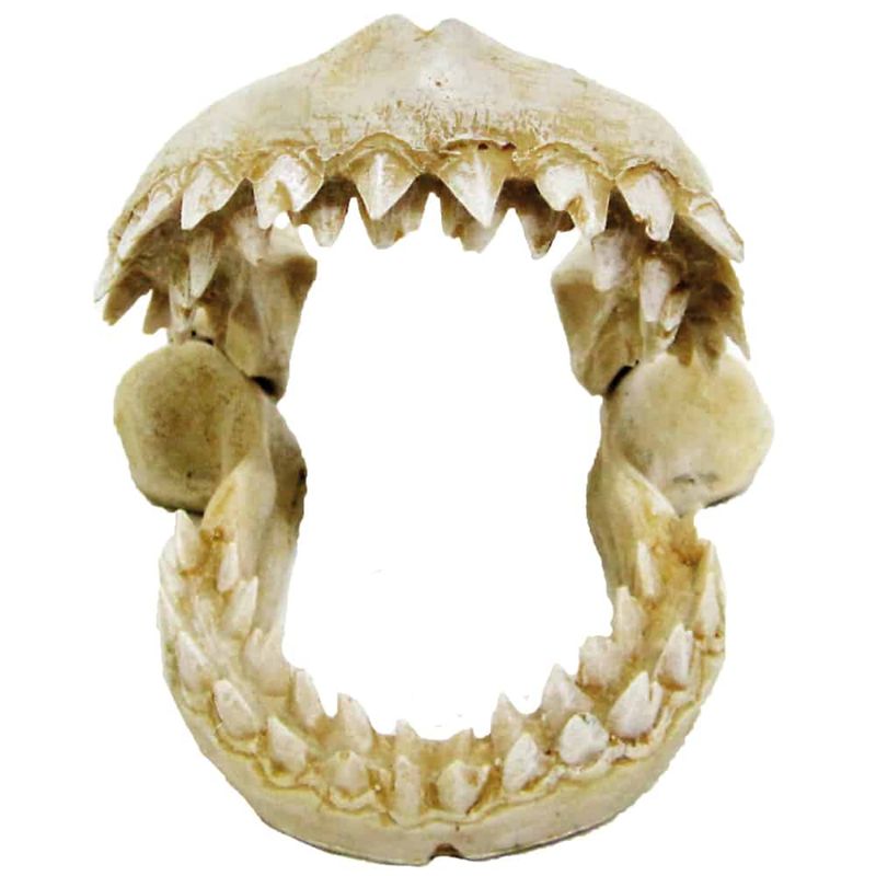 croci-denti-di-squalo-s