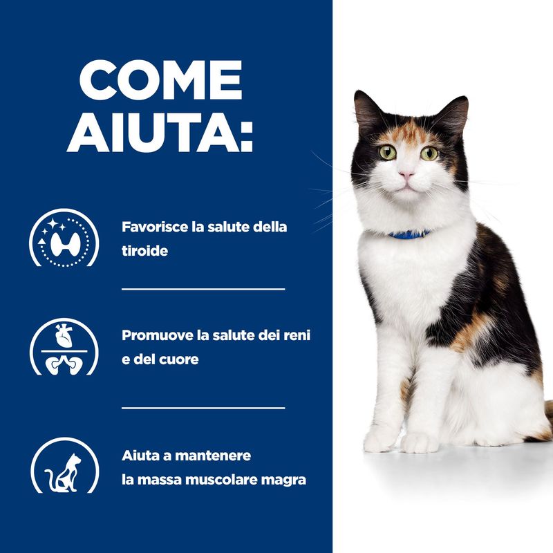 hills-prescription-diet-y-d-alimento-per-gatti-come-aiuta