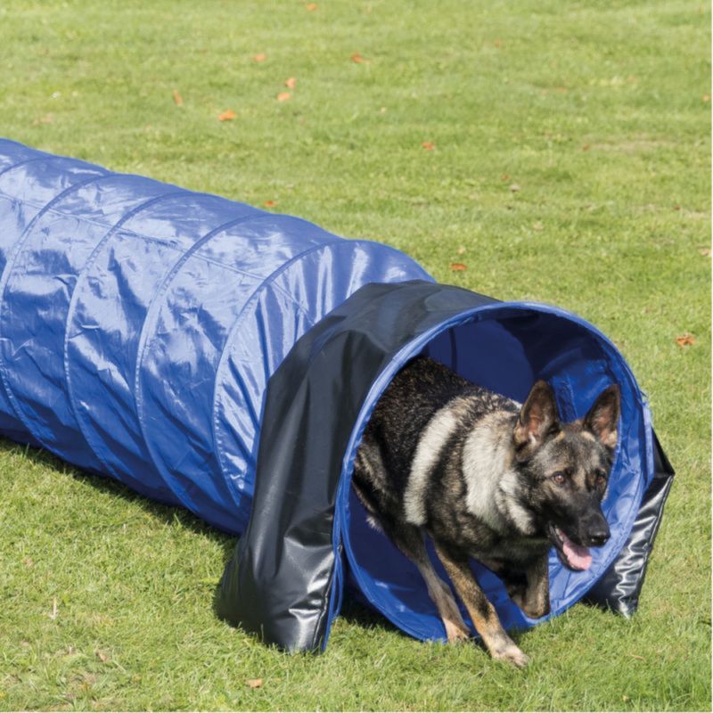 trixie-tunnel-agility