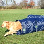 trixie-tunnel-agility-con-cane