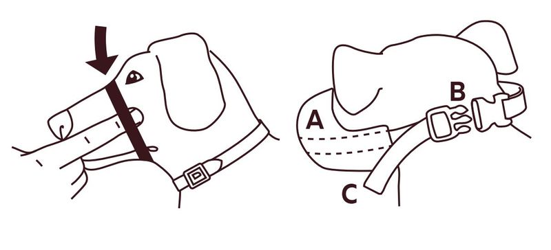 museruola-muzzy-cane-istruzioni