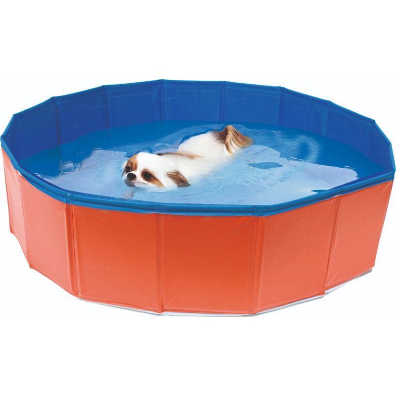 pet-around-you-piscina-con-cane