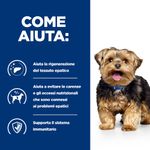 hills-prescription-diet-l-d-liver-care-alimento-per-cani-370g-come-aiuta