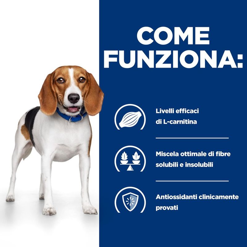 hills-prescription-diet-r-d-weight-reduction-350g-come-funziona