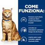 hills-prescription-diet-c-d-urinary-care-per-gatti-con-salmone-come-funziona