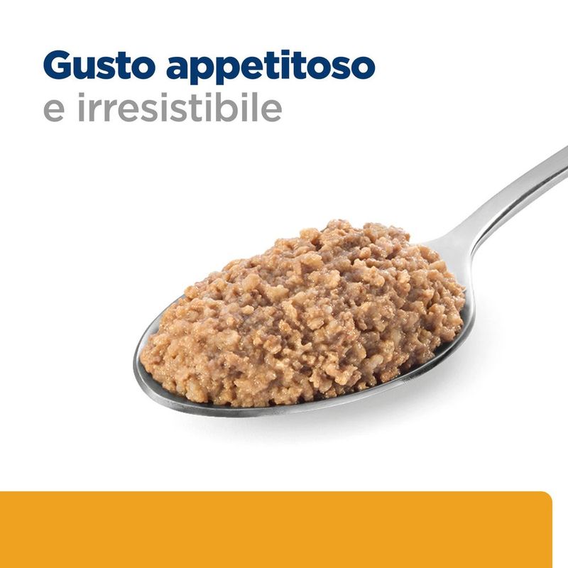 hills-prescription-diet-urinary-care-minced-c-d-per-gatti-con-pollo-interno