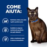 hills-prescription-diet-diabetes-care-m-d-per-gatto-con-fegato-come-aiuta
