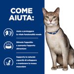 hills-prescription-diet-k-d-kidney-care-con-pollo-per-gatto-come-aiuta