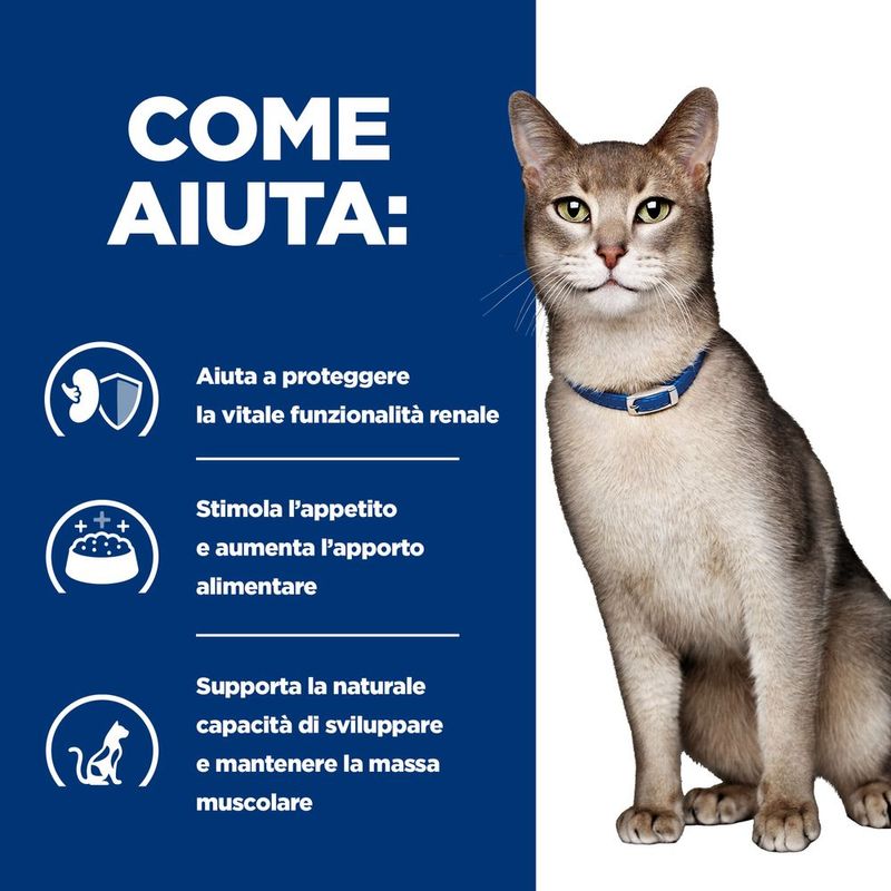hills-prescription-diet-k-d-kidney-care-con-pollo-per-gatto-come-aiuta
